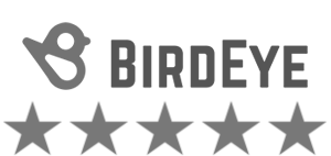 star-ratings-birdeye-1